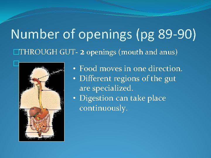 Number of openings (pg 89 -90) �THROUGH GUT- 2 openings (mouth and anus) �