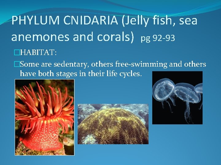 PHYLUM CNIDARIA (Jelly fish, sea anemones and corals) pg 92 -93 �HABITAT: �Some are