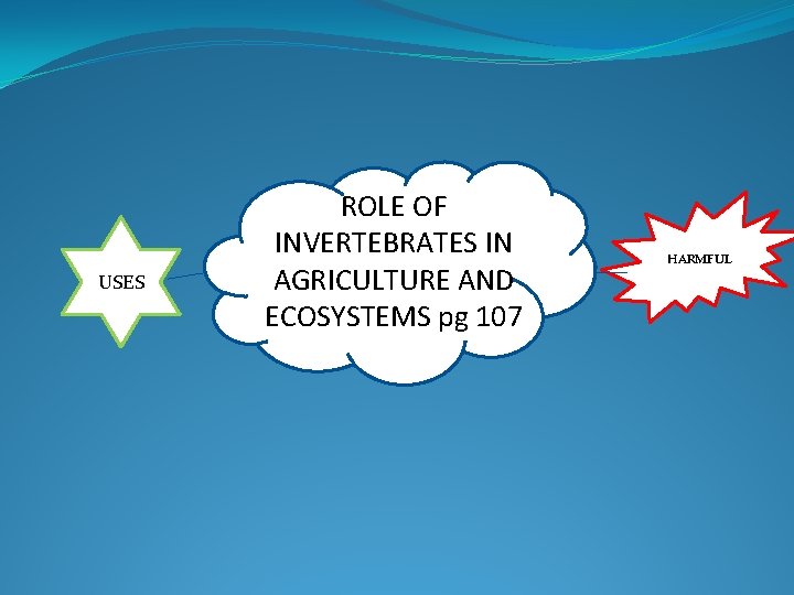 USES ROLE OF INVERTEBRATES IN AGRICULTURE AND ECOSYSTEMS pg 107 HARMFUL 