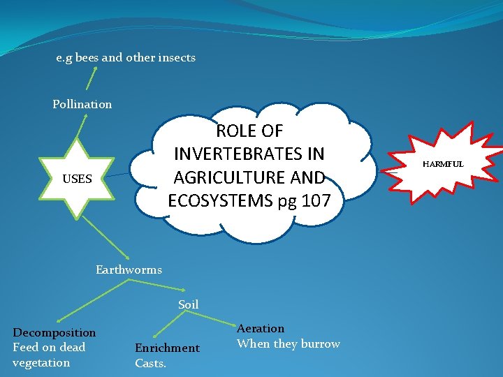 e. g bees and other insects Pollination ROLE OF INVERTEBRATES IN AGRICULTURE AND ECOSYSTEMS