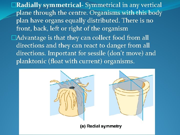 �Radially symmetrical- Symmetrical in any vertical plane through the centre. Organisms with this body