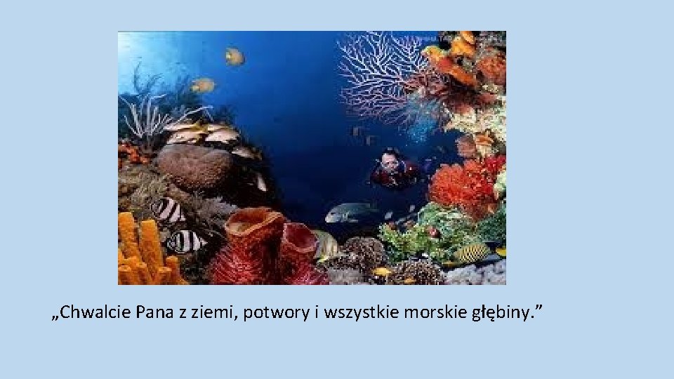 „Chwalcie Pana z ziemi, potwory i wszystkie morskie głębiny. ” 