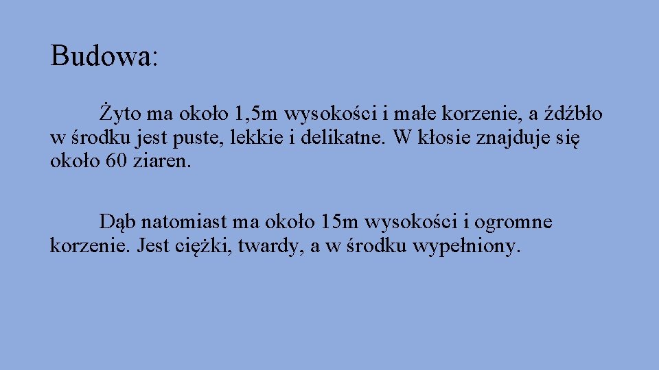 Budowa: Żyto ma około 1, 5 m wysokości i małe korzenie, a źdźbło w