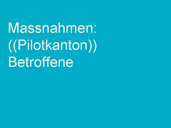 Massnahmen: ((Pilotkanton)) Betroffene TT. MM. JJ Kunde | Projekt | ggf. Anlass 