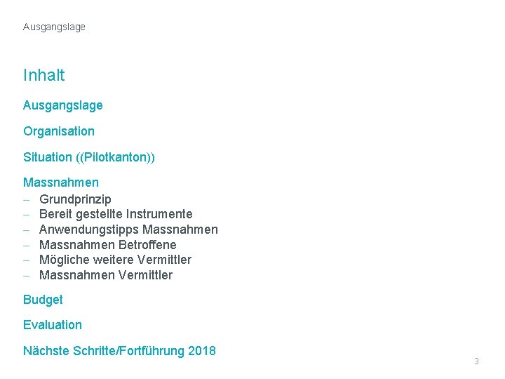 Ausgangslage Inhalt Ausgangslage Organisation Situation ((Pilotkanton)) Massnahmen - Grundprinzip - Bereit gestellte Instrumente -
