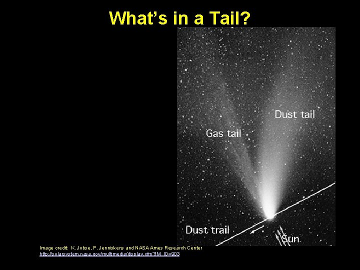 What’s in a Tail? Image credit: K. Jobse, P. Jenniskens and NASA Ames Research