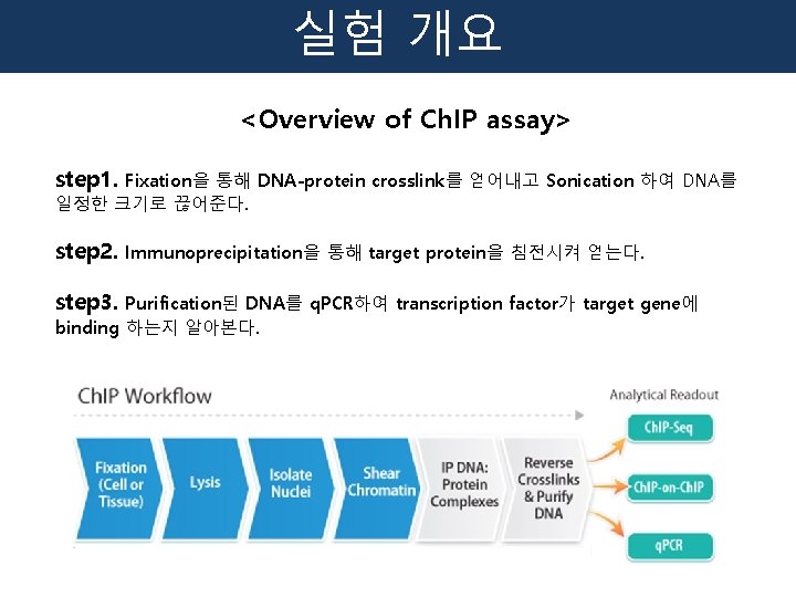 실험 개요 <Overview of Ch. IP assay> step 1. Fixation을 통해 DNA-protein crosslink를 얻어내고