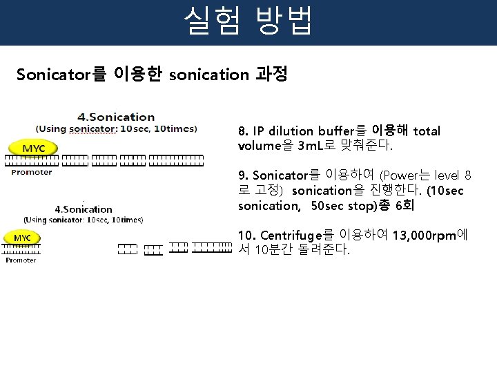 실험 방법 Sonicator를 이용한 sonication 과정 8. IP dilution buffer를 이용해 total volume을 3