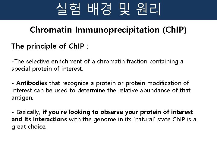 실험 배경 및 원리 Chromatin Immunoprecipitation (Ch. IP) The principle of Ch. IP :