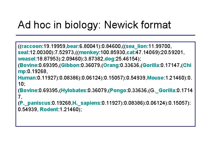 Ad hoc in biology: Newick format ((raccoon: 19. 19959, bear: 6. 80041): 0. 84600,