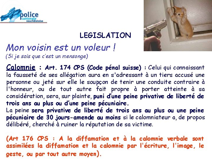 LEGISLATION Mon voisin est un voleur ! (Si je sais que c’est un mensonge)