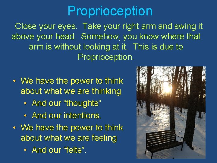 Proprioception Close your eyes. Take your right arm and swing it above your head.