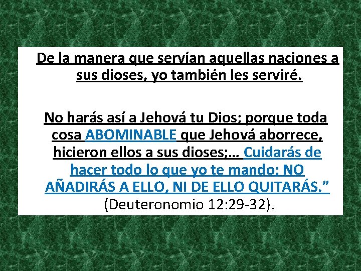  De la manera que servían aquellas naciones a sus dioses, yo también les
