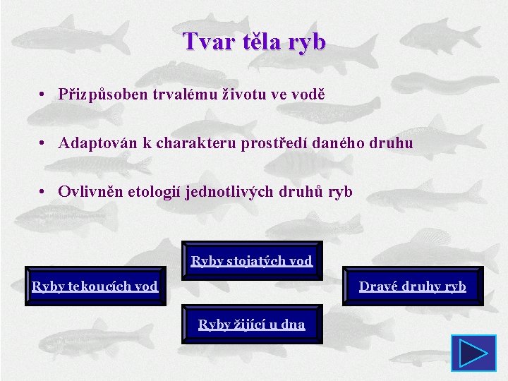 Tvar těla ryb • Přizpůsoben trvalému životu ve vodě • Adaptován k charakteru prostředí