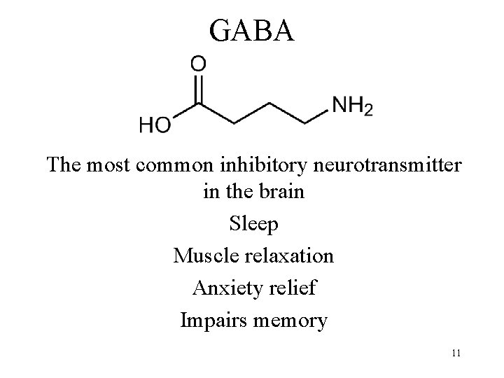 GABA The most common inhibitory neurotransmitter in the brain Sleep Muscle relaxation Anxiety relief