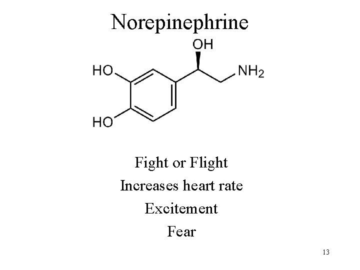 Norepinephrine Fight or Flight Increases heart rate Excitement Fear 13 