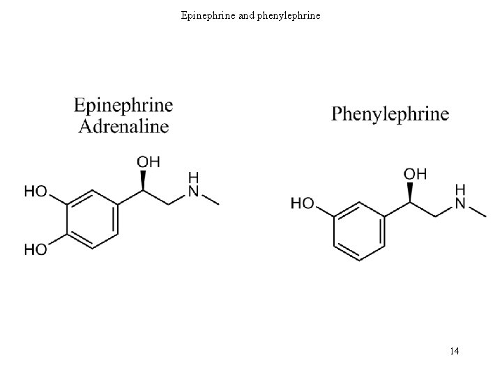 Epinephrine and phenylephrine 14 
