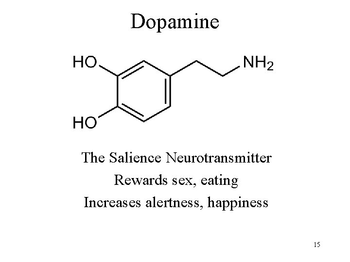 Dopamine The Salience Neurotransmitter Rewards sex, eating Increases alertness, happiness 15 