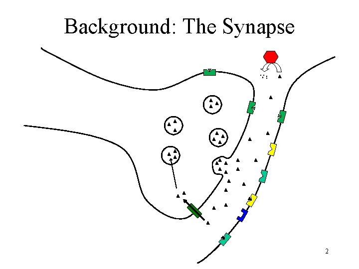 Background: The Synapse 2 