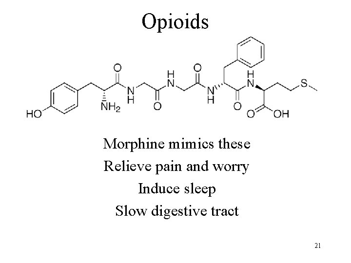Opioids Morphine mimics these Relieve pain and worry Induce sleep Slow digestive tract 21
