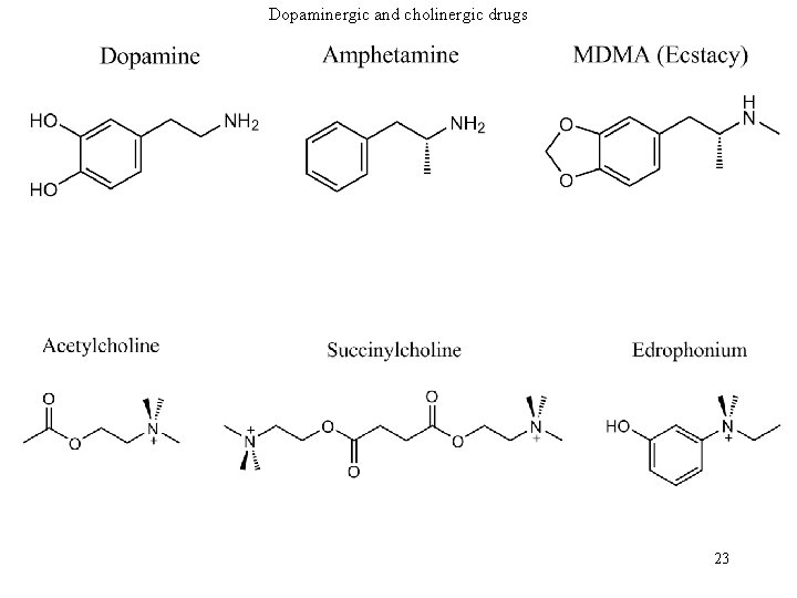 Dopaminergic and cholinergic drugs 23 