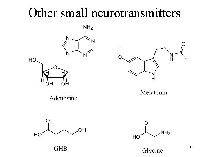Other small neurotransmitters 25 