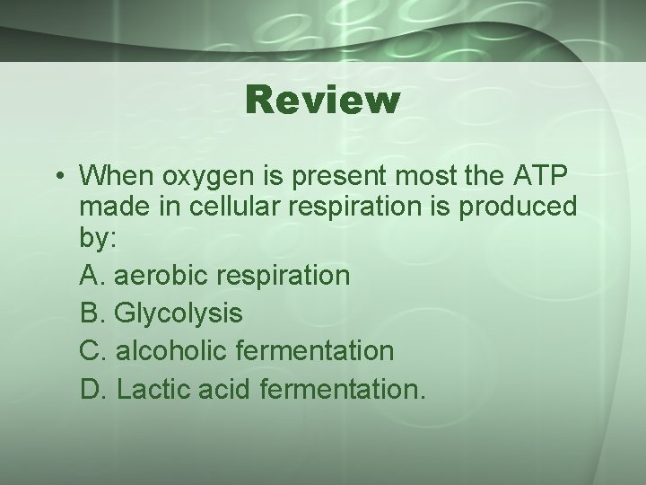 Review • When oxygen is present most the ATP made in cellular respiration is