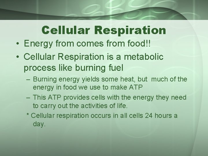 Cellular Respiration • Energy from comes from food!! • Cellular Respiration is a metabolic