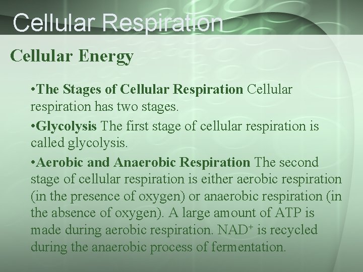 Cellular Respiration Cellular Energy • The Stages of Cellular Respiration Cellular respiration has two