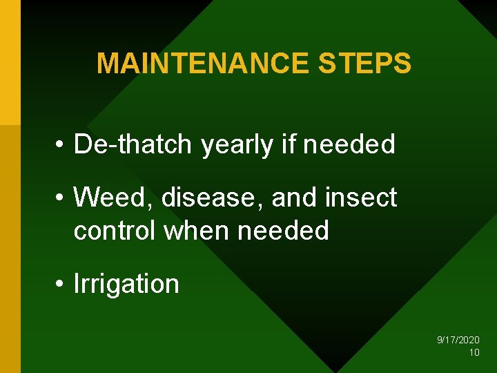 MAINTENANCE STEPS • De-thatch yearly if needed • Weed, disease, and insect control when