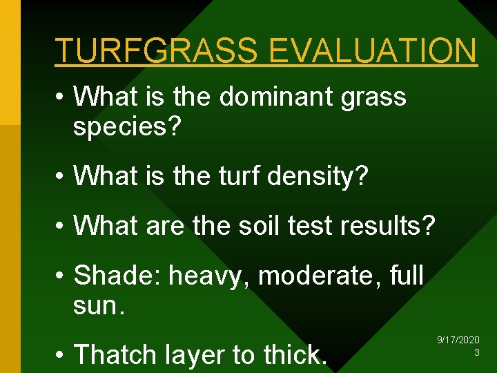 TURFGRASS EVALUATION • What is the dominant grass species? • What is the turf