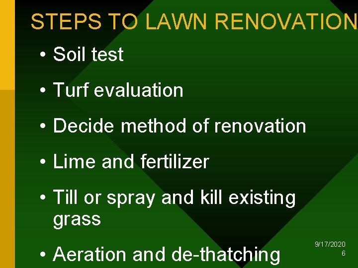 STEPS TO LAWN RENOVATION • Soil test • Turf evaluation • Decide method of