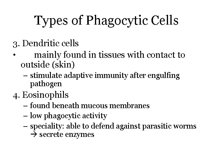 Types of Phagocytic Cells 3. Dendritic cells • mainly found in tissues with contact