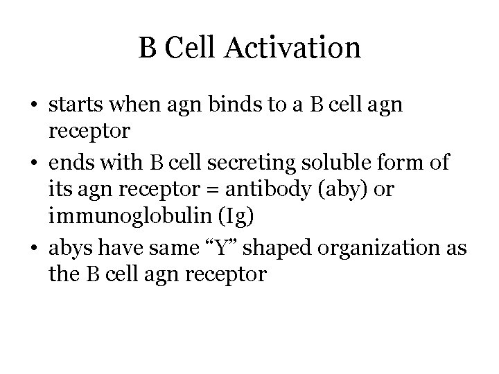 B Cell Activation • starts when agn binds to a B cell agn receptor