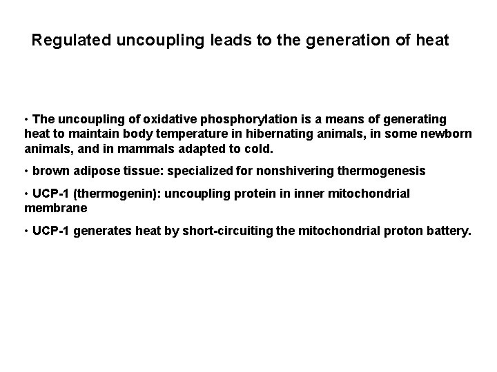 Regulated uncoupling leads to the generation of heat • The uncoupling of oxidative phosphorylation