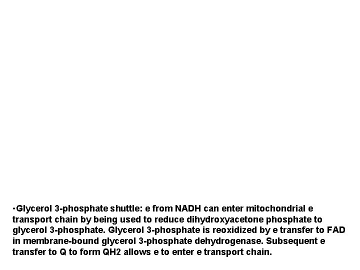  • Glycerol 3 -phosphate shuttle: e from NADH can enter mitochondrial e transport