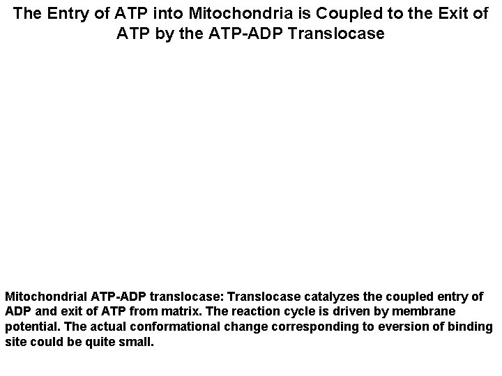 The Entry of ATP into Mitochondria is Coupled to the Exit of ATP by