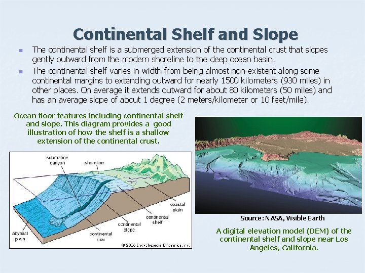 Continental Shelf and Slope n n The continental shelf is a submerged extension of