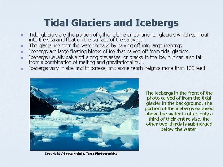 Tidal Glaciers and Icebergs n n n Tidal glaciers are the portion of either