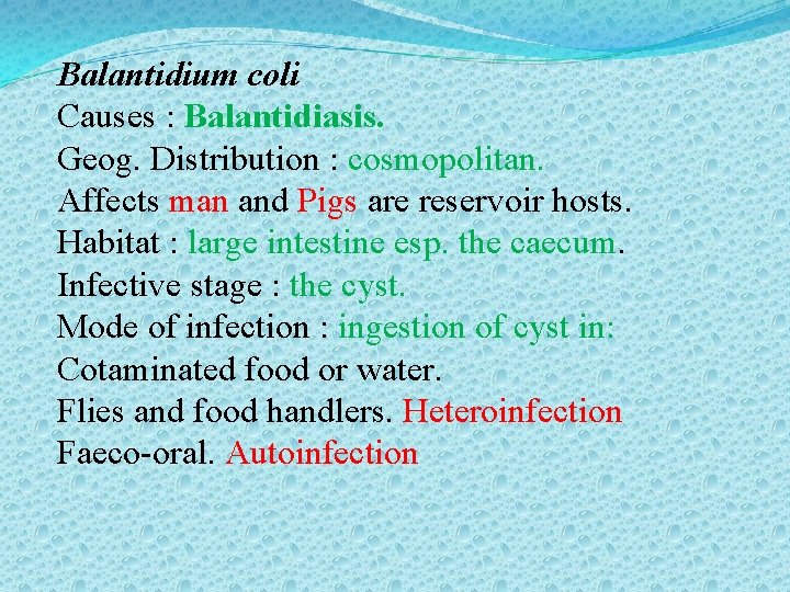 Balantidium coli Causes : Balantidiasis. Geog. Distribution : cosmopolitan. Affects man and Pigs are