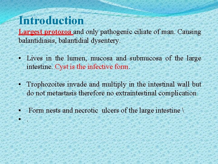 Introduction Largest protozoa and only pathogenic ciliate of man. Causing balantidiasis, balantidial dysentery. •