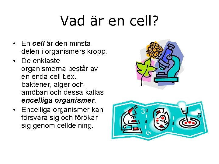 Vad är en cell? • En cell är den minsta delen i organismers kropp.