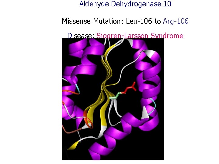 Aldehyde Dehydrogenase 10 Missense Mutation: Leu-106 to Arg-106 Disease: Sjogren-Larsson Syndrome 