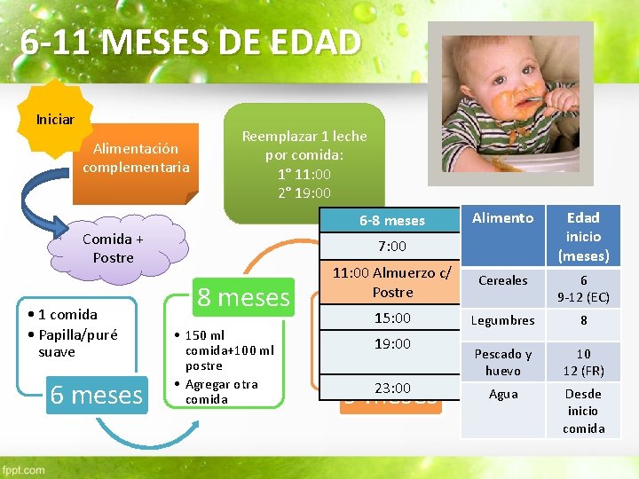 6 -11 MESES DE EDAD Iniciar Alimentación complementaria Reemplazar 1 leche por comida: 1°