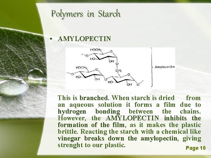 Polymers in Starch • AMYLOPECTIN This is branched. from branched When starch is dried