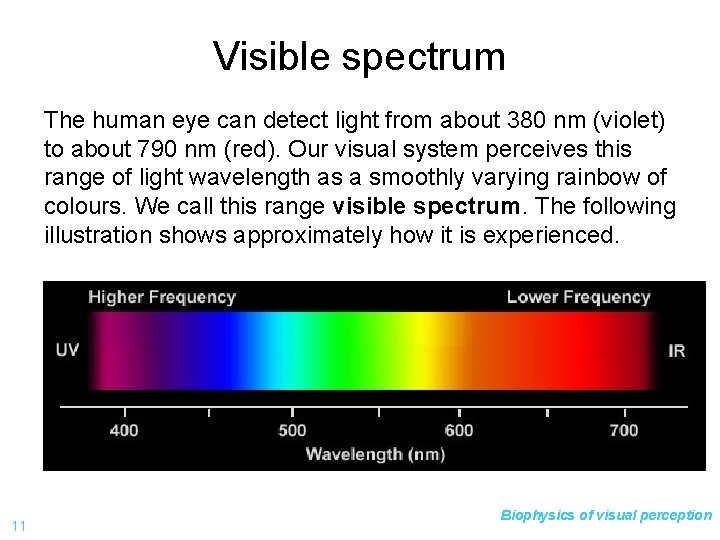 Visible spectrum The human eye can detect light from about 380 nm (violet) to