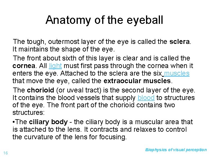 Anatomy of the eyeball The tough, outermost layer of the eye is called the