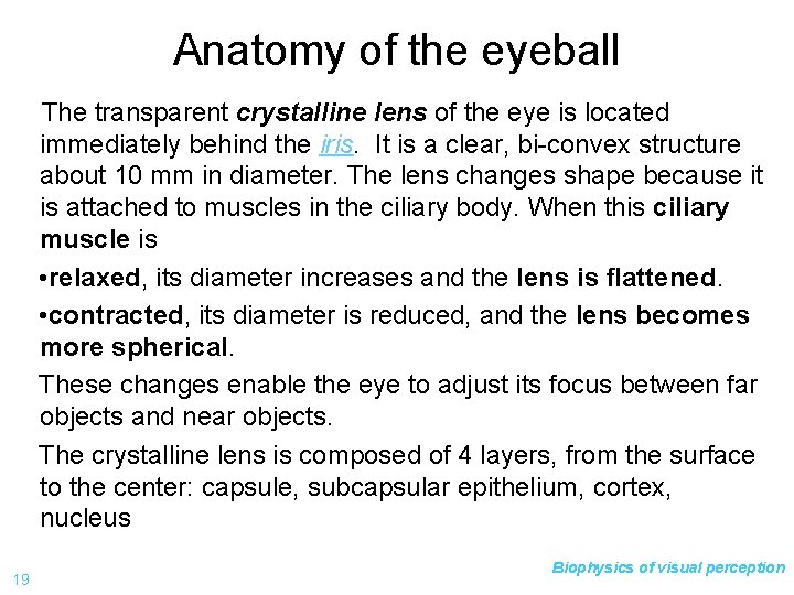 Anatomy of the eyeball The transparent crystalline lens of the eye is located immediately