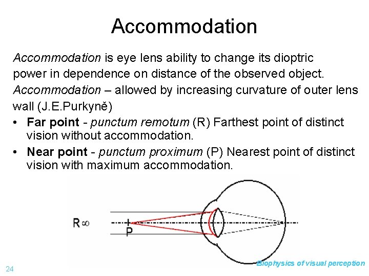 Accommodation is eye lens ability to change its dioptric power in dependence on distance