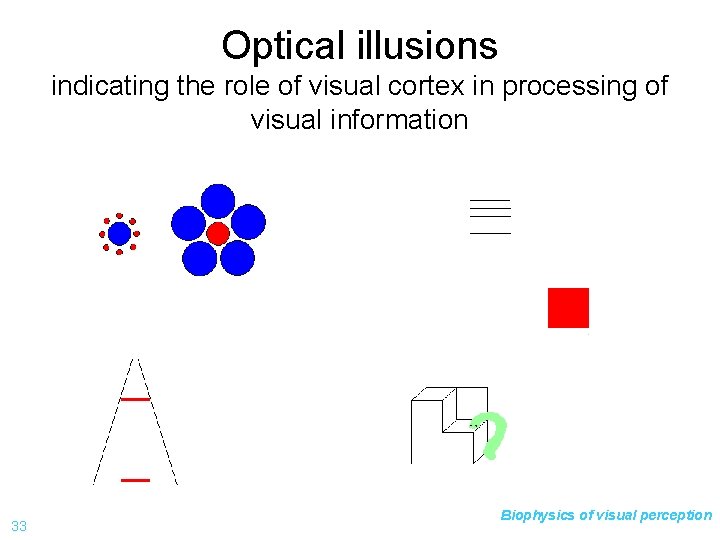 Optical illusions indicating the role of visual cortex in processing of visual information 33